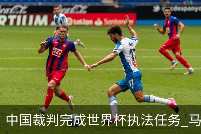 中国裁判完成世界杯执法任务 马宁期待能有更多中国裁判走得更远
