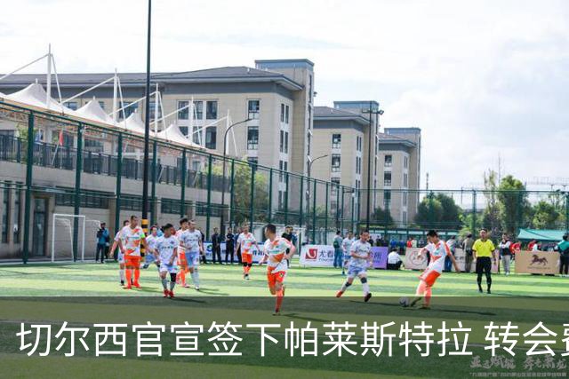 切尔西官宣签下帕莱斯特拉 转会费超5500万欧签约7年