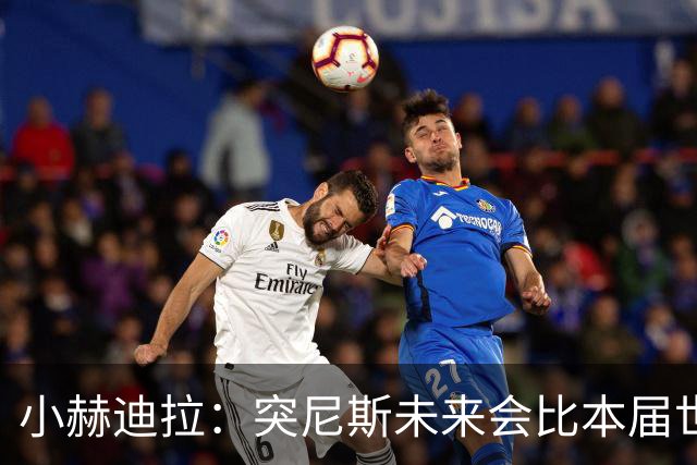 小赫迪拉：突尼斯未来会比本届世界杯更好 批评？我已经付出全力