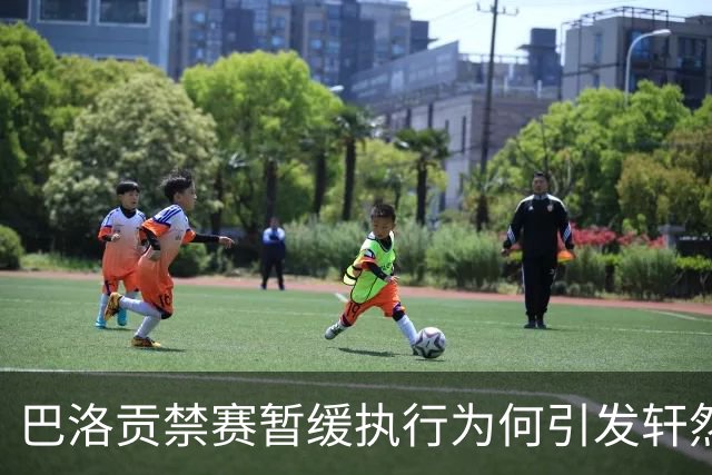 巴洛贡禁赛暂缓执行为何引发轩然大波？
