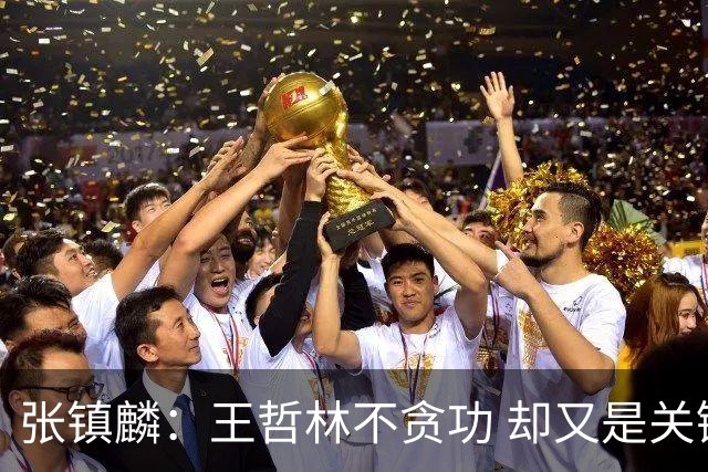 张镇麟：王哲林不贪功 却又是关键时刻能站出来的人 队长当之无愧