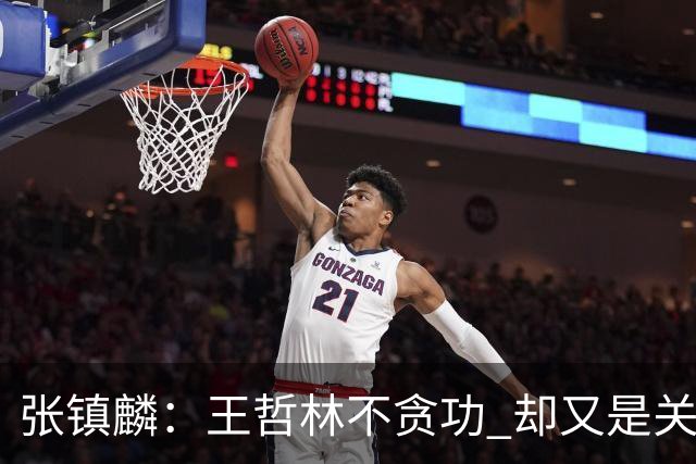 张镇麟：王哲林不贪功 却又是关键时刻能站出来的人 队长当之无愧