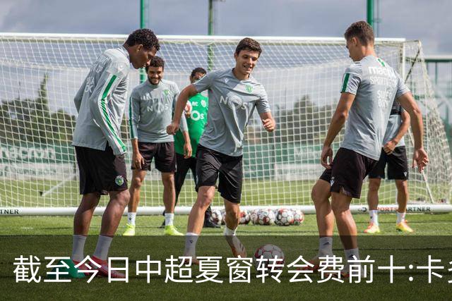截至今日中超夏窗转会费前十:卡多索132万欧最高 段刘愚9万欧随后