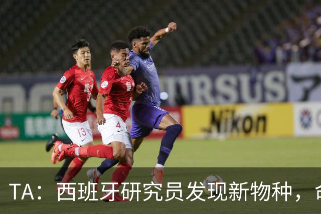 TA：西班牙研究员发现新物种，命名为“沃齐尼亚的海蛞蝓”